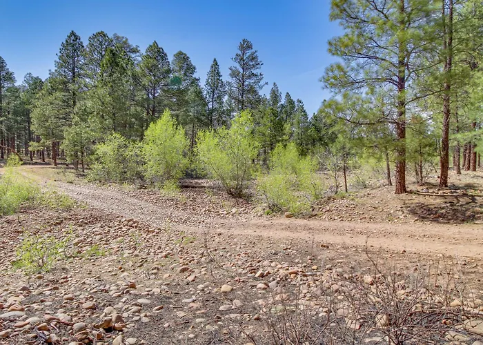 Holiday home Patio & Atv Trail Access: Quiet In Show