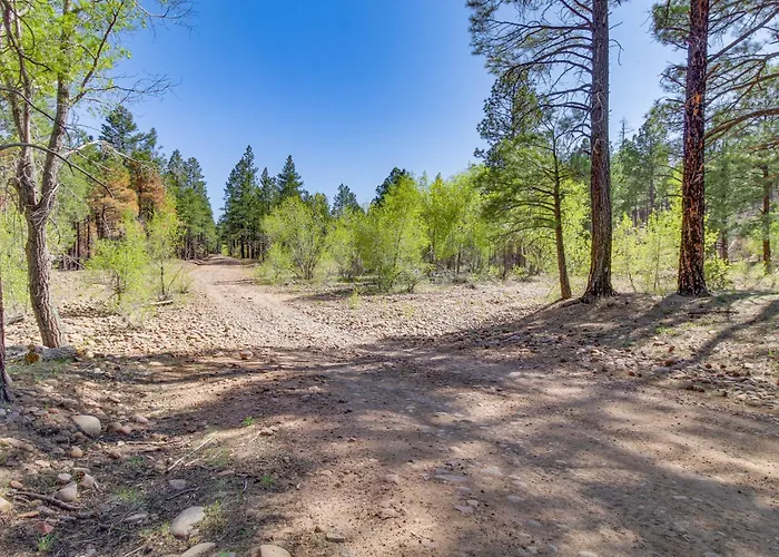 Patio & Atv Trail Access: Quiet In Show